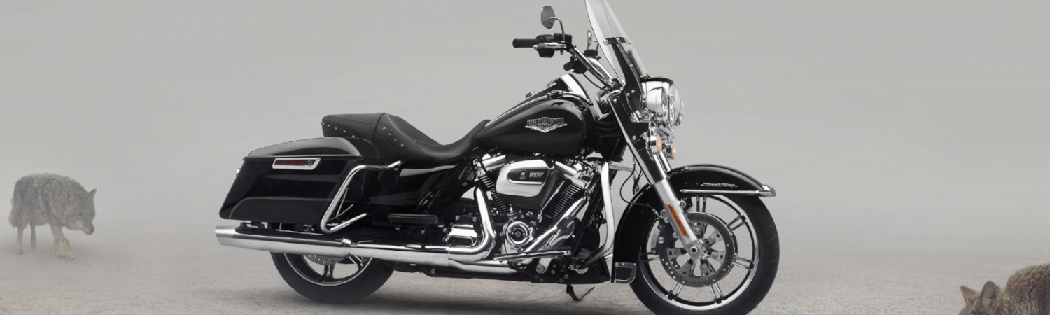2020 Harley Davidson® touring® road king for sale in White Lightning Harley-Davidson®, Chattanooga, Tennessee